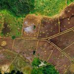 Vacant Land Fraud Protect Yourself Before Purchasing Land