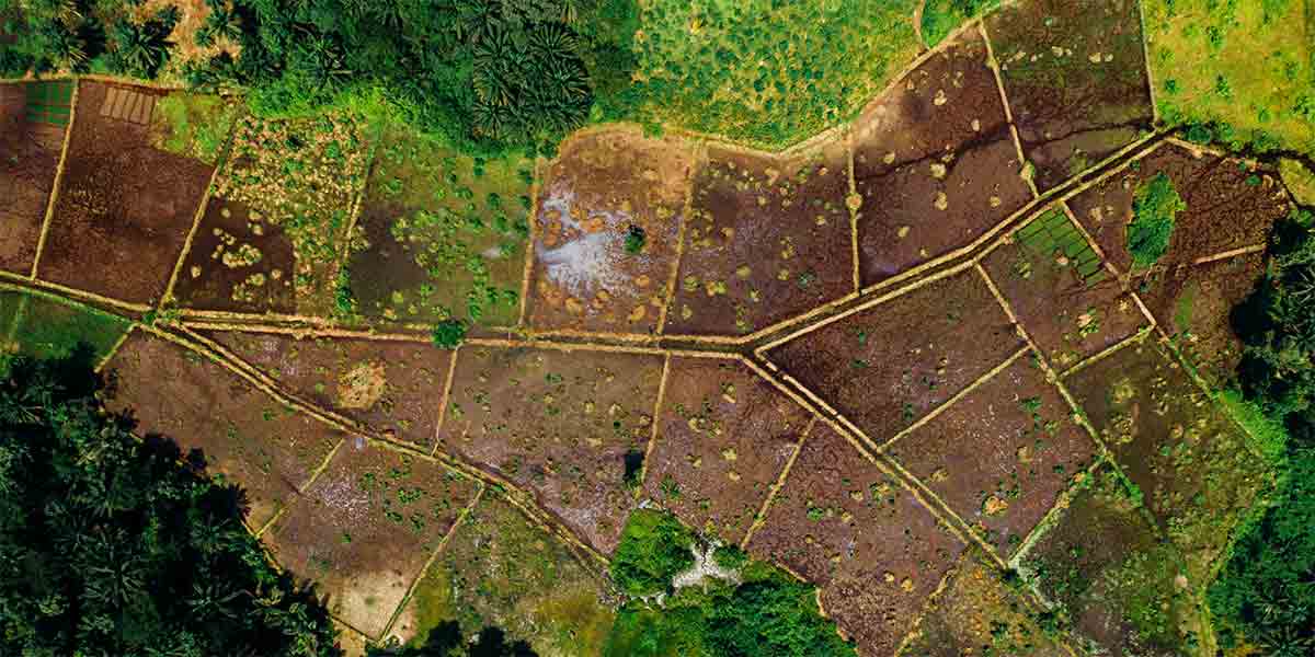 Vacant Land Fraud Protect Yourself Before Purchasing Land